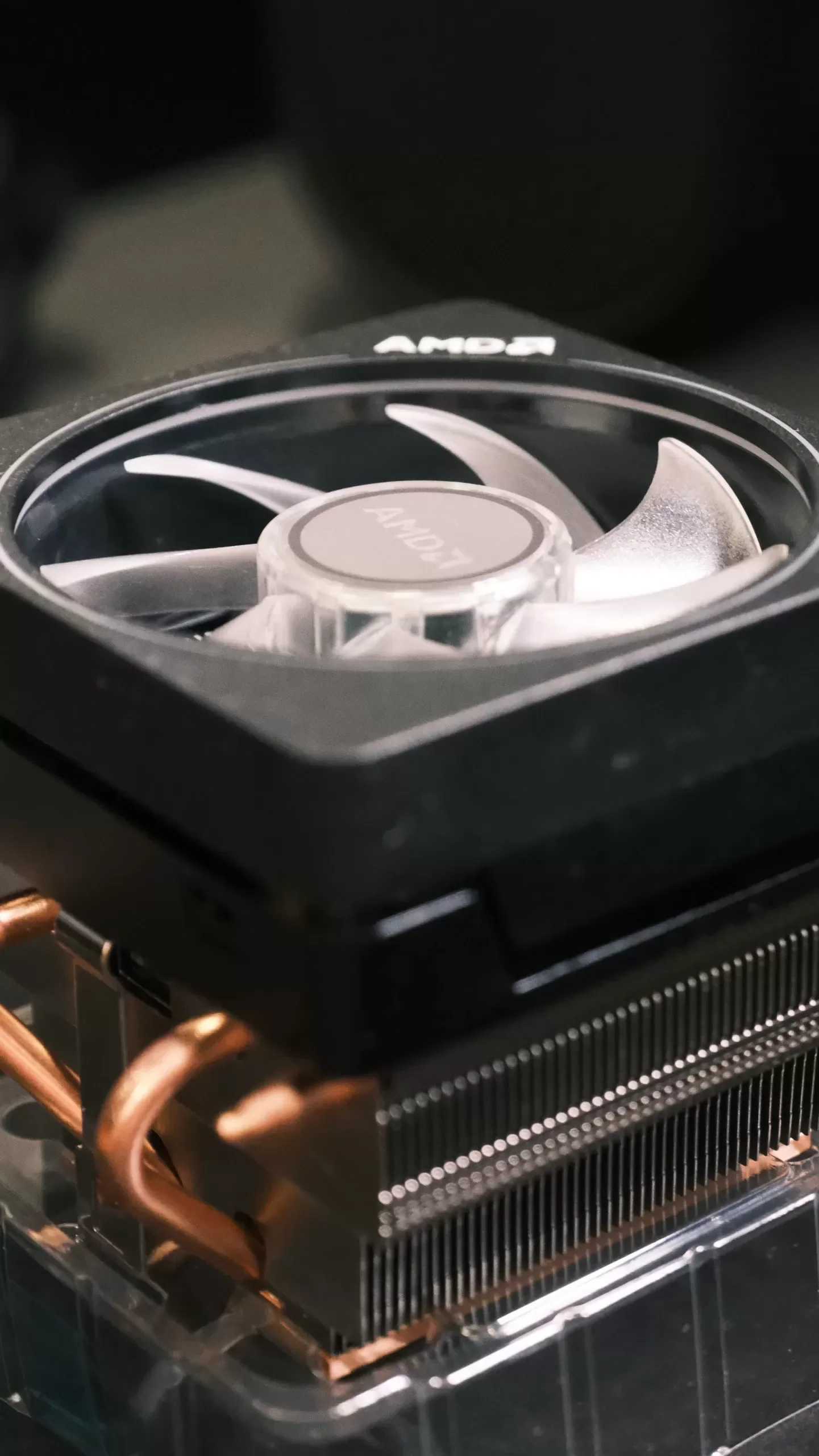Ryzen 9 7900 (2)