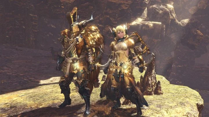 Gender Lock, Niche Gamer